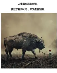 分享九副圖和九句話，慢慢體會，句句在理，每句都戳入人心。配圖
