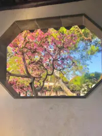 感情世界里最沒用的四種東西：
分手后的悔恨，不愛后的關懷；
高高在上的自尊心，低智商的善良。配圖