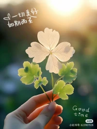 記住，能治愈你的從來不是生活，而是你自己配圖
