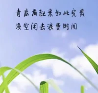 兩天的進(jìn)修圓滿(mǎn)結(jié)束，每一次知識(shí)的積累成就一片智慧的草原，每一個(gè)高度的突破成就更廣闊的視野。知之不如好之，好之不如樂(lè)之！配圖