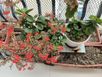 給intp的建議：相信你的直覺，不遺余力的去把你腦袋里的想法實現(xiàn)，穩(wěn)定你的內(nèi)核，創(chuàng)造新的事物，才是你該干的事配圖