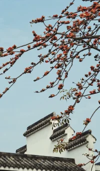 美在意境配圖