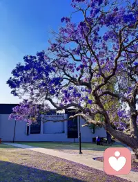 找到一張很有生命力的照片～

預祝大家教師節(jié)&中秋節(jié)快樂！配圖