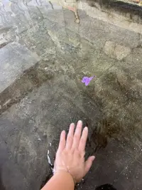 今天我很開心配圖