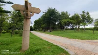 你是這世上獨(dú)一無(wú)二、珍貴無(wú)比的寶石。但前提是，你要遇到真正懂得評(píng)定的專家！所以，在這之前好好養(yǎng)好自己，韜光養(yǎng)晦！不必東奔西跑配圖