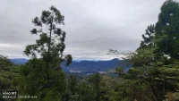 你的善良里藏著你的福氣
多行善事，解鎖屬于您的福氣吧配圖