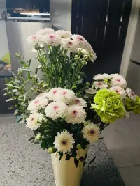 不必光芒萬丈，也不必有什么特殊的意義，你只需要做那個小小的你，然后去愛。配圖