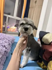 人類最無聊的腦活動之一：思考別人怎么看自己。配圖
