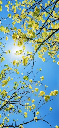 你看那么多人天天在追幸福、求幸福，可幸福真正來到身邊時(shí)，卻沒幾個(gè)人會(huì)珍惜。所以啊，別以為“得到”很難，得到后，要在漫長歲月中悉心呵護(hù)，這才最難。配圖