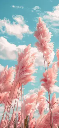 每個家庭成員擺正自己的位置，用心經營每一種關系，家庭的氛圍也會其樂融融。配圖