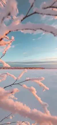 有時(shí)候也需要一個(gè)人，知道在你身上發(fā)生的一切，然后抱抱你，真誠地安慰你。或者也可以什么都不用知道，只是輕輕握一下你的手，對你說加油。配圖