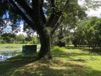 在偏執-分裂位客體關系中，分裂、投射和內攝都是活躍的?？腕w和自體被分為好壞兩個部分，然后這些部分被合并成新的組合，自體中壞的部分與客體中壞的部分合并在一起，自體中好的部分與客體中好的部分合并在一起。

雖然這一起源復雜，但克萊因傾向于從使用偏執-分裂機制的人格角度來理解，嬰兒自己感受到的好的體驗是好的客體，嬰兒壞的感受是壞的客體。也就是自己高興所以媽媽是好的，自己憤怒了，不舒服了，媽媽就是壞的。

放眼望去，我們周圍是不是也有這樣的成年人，他們自己感覺糟糕的時候，很容易對周圍的人看不慣。這其中有一種可能性就是，他們被困在了偏執分裂位，大約六個月前跟客體的分離沒有處理好。

心理發展不會因為年齡長大就自動成熟，它有自己的發展規律，而促進心理發展需要很多的情感支持和體驗，而不是一堆有用的道理就能解決。

去愛，去生活，去受傷，是心理發展重要的組成。配圖