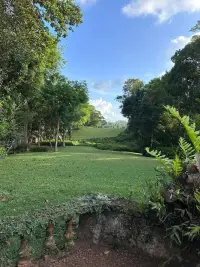 在生活中，遷怒時常發生，兩個人被自己的情緒操控，相互指責數落，就會掩蓋彼此之間真正的需求。

當情緒成為影響感情的罪魁禍首，那么我們又可以做出哪些積極有效的措施，來管理自己沖動的情緒呢？

1、學會停止自動化模式：?

我們在戀愛當中遇事想吵架的時候，內心一定經歷了一系列變化。但長年累月習慣讓“吵架”變成本能反應，也就忽略了內心在發生的一切。

所以要讓這“吵架”的自動化模式剎住車，在我們感受到自己很想吵架的時候，讓自己忍住不發作，或者暫時離開當時的情景。

2、提升管理情緒的能力 ：

情緒管理并不是讓我們壓抑情緒，或者是去控制情緒，不讓情緒出現，而是需要用正確的方法進行疏通。

學會如何管理情緒，遇事不驕不躁，能更理性客觀的看待問題，才能建立起優質的溝通環境，創造積極的情緒體驗。

而提升情緒管理的能力，這需要我們在覺察自己的情緒時，學會去表達和調解自己的情緒。

最關鍵的一步，停下來觀察自己的情緒，可以問自己這幾個問題：

?我從哪一刻開始感覺到不舒服？

?這個情緒是什么，來自哪里？

?我是不是非得要用吵架的方式表達呢，我是不是可以直接告訴ta我的感受？

學會理解和消化自己在那些事件當中的真實感受，去識別和歸類更復雜的情感，而不再是只會用生氣來標識所有的情感體驗。

一旦能識別真實的感受，便能夠接納和抱持自己。

3、嘗試做出不一樣的表達方式：

然后，我們就要努力把這些內心感受向伴侶心平氣和地表達，改變以往的方式，并嘗試讓伴侶聽了之后給到自己反饋。

表達的時候，要注意少用“你”開頭的句式，而多用“我”開頭的句式，這樣就不會顯得像指責或者質問，比如：

“我剛剛感受到被忽略和一點失落”，取代：“你剛剛那樣，讓我很生氣。”

“我希望你以后加班的時候也和我提前說一下，這樣我會感覺好受一些”，取代：“你為什么不能提前告訴我你要加班？”

4. 求助心理咨詢：

如果這一切對于你而言實在太難的話，有必要求助專業心理咨詢師，在咨詢師的陪伴下去學會理解和抱持自己的感受。

心理咨詢師可以幫助你重新獲得成長所需要的包容和理解，在這樣的關系當中慢慢浸泡著，也會讓我們內心得到滋養，重新學習如何包容理解自己的感受，讓曾經停滯的情感能力發展重獲動力。

這時候，心理咨詢不僅會讓你改變吵架的習慣，更能處理關系，還能讓你開啟自我探索之旅，遇見完整的自己。配圖