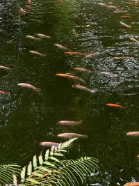 用心去感受、去覺察、去發(fā)現(xiàn)自己，找到自己，成為自己。配圖