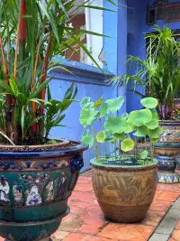 用心去感受、去覺察、去發(fā)現(xiàn)自己，找到自己，成為自己。配圖