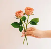 只要心情美麗，任何事情都會(huì)變得很美好；只要心境開闊，任何煩躁都會(huì)離你遠(yuǎn)去。
?配圖