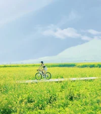 要么旅行，要么讀書，身體和靈魂必須有一個在路上。配圖