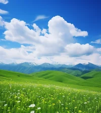 人生，酸甜苦辣嘗盡了生命也終止了，回首走過的所有旅程是那么的熟悉而又陌生，心酸了眼眶濕潤了，只是人生太多的無奈卻只能自己去品味！配圖