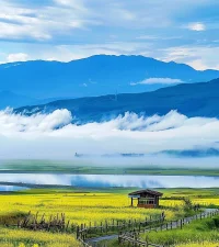 在生活的萬般刁難下，留住半分可愛和溫柔，你就是勝利者配圖