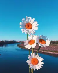 當(dāng)時間消磨掉了你的熱情，你便會發(fā)現(xiàn)，那些曾令你歇斯底里的去執(zhí)著的人，現(xiàn)已變得可有可無。配圖