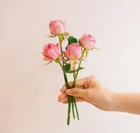 一個(gè)身心富足的人，既不害怕獨(dú)處，也不害失去，因?yàn)樗麄儍?nèi)心的強(qiáng)大展開大千世界，也可以在人群中保持一份恬淡清寂配圖