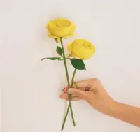 想有一顆的成熟心靈，都一定經(jīng)過寂寞的洗禮和孤獨的磨練。那些寂寞孤獨的日子，也正是我們修煉自我蓄積力量的最佳時機。配圖
