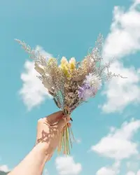 相守以沫，醉一場紅塵戀。遇見是緣份，愛上你是我的福。愛情，一半是淚水，一半是幸福。配圖