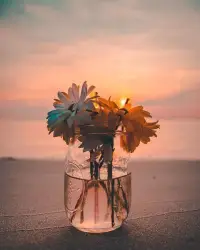 人生中遇到對(duì)的人，就和他好好相處， 遇到不對(duì)的人，就遠(yuǎn)離他他配圖
