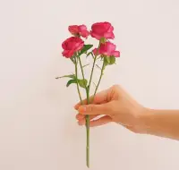 心情好，什么事情都會變得很美好；只有心境開闊，什么煩躁都會離你遠去配圖