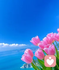 生活最美好的時(shí)刻往往最簡(jiǎn)單配圖