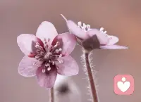 疲憊時，不妨停下腳步，讓心靈沐浴在溫柔的陽光中，慢慢治愈。配圖