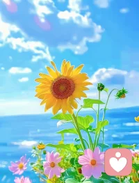 不管風雨如何，心中的那盞燈都可以照亮前行的道路。配圖