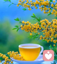 人生如戲，品味其中的悲歡離合，方能領悟生命的厚重。配圖