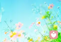 人生的滋味，哪怕是酸甜或苦辣，也要靠自己去品。凡事都要留有余地，勢不可用盡配圖