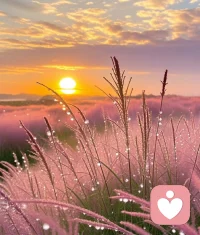 只有不斷突破自我，才能在人生的道路上越走越遠。配圖