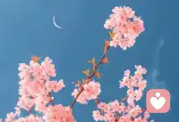 突破自我設限，釋放內在潛能，創造無限精彩。配圖