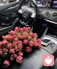 我也希望生活不是為了趕路，而是為了感受沿途的風(fēng)景。配圖