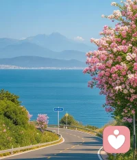 生命是一场无法回放的绝版电影。再好的东西都有失去的一天，再美的梦也有苏醒的一天。所以要珍惜当下配图