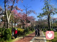 生活中最美好的事情，往往都是免费的。配图