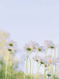 實(shí)際上，沒(méi)有一段關(guān)系應(yīng)該給予你愛(ài)，關(guān)系只是關(guān)系。配圖
