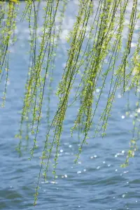 真正幫到你的是你自己，想想以前那些難熬的時期，不管有誰在你身邊幫助你，
實際上都要靠你自己撐過來，所以，你其實比你想象中更有力量配圖