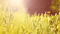 “如果你花很長時間跟人們解釋你的另一半對你其實沒那么差時，那可能就意味著你正身處一段不健康的關系中，而它確實就如別人春到的那樣糟糕?！迸鋱D