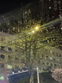 盡力之后，我選擇隨緣，人的手就那么大，握不住的東西太多了，世間一切皆為空歡，沒有一樣?xùn)|西真正屬于你，你來皆大歡喜，你走，兩手空空，唯一屬于你的，就是你活著的每一個(gè)瞬間。配圖