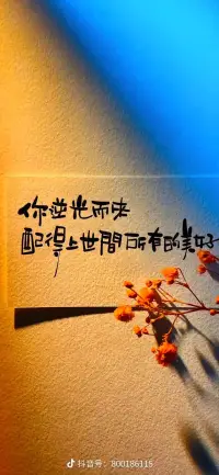 你逆光而決
配上世間所有的菜配圖