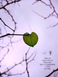 如果沒有感受到被在意，那我便默認自己不重要，學會主動接受殘忍，遠比別人傷害你要好得多。配圖