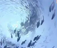 那時候我覺得是牽手、是擁抱、是接吻、是浪漫不死、是詩意永存。配圖