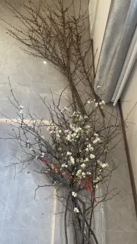 -我很好奇，在婚姻這么辛苦的過程中，是什么力量支撐你走過來的？配圖