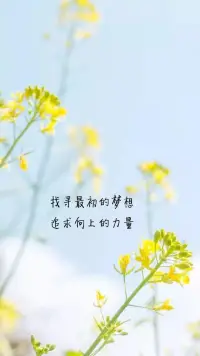 如果明天問題已經奇跡般解決了，您會感覺什么不同？配圖