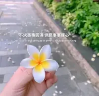 .想象一下，您正在生活在沒有這個問題的世界中，您的生活會是什么樣子配圖