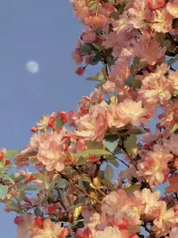 有沒有某個人或地方使您感到問題沒有那么嚴重？配圖